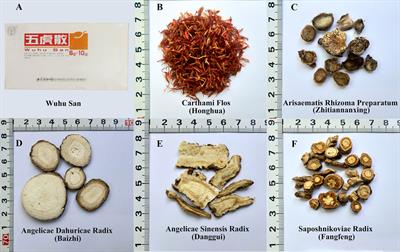 The Species Identification in Traditional Herbal Patent Medicine, Wuhu San, Based on Shotgun Metabarcoding